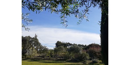 Reisemobilstellplatz - Setúbal Municipality - Blick über den Garten zur Küste - Quinta Arcadia bei Lissabon