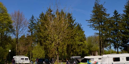 RV park - Art des Stellplatz: im Campingplatz - Groß Disnack - Stellplätze auf der Tageswiese - Freizeitwelt Güster