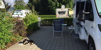 Plaza de aparcamiento para autocaravanas - Hunde erlaubt: Hunde erlaubt - Gränichen - Wohnmobil-Park Waldshut