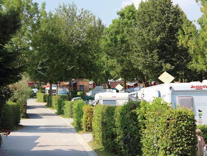 Reisemobilstellplatz - Radweg - Erlhof bei Rathsmannsdorf - Campingplatzgelände - Kur- und Feriencamping Holmernhof Dreiquellenbad