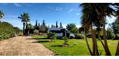 Parkeerplaats voor camper - Hunde erlaubt: keine Hunde - Spanje - Finca Sa Vinya, Mallorca