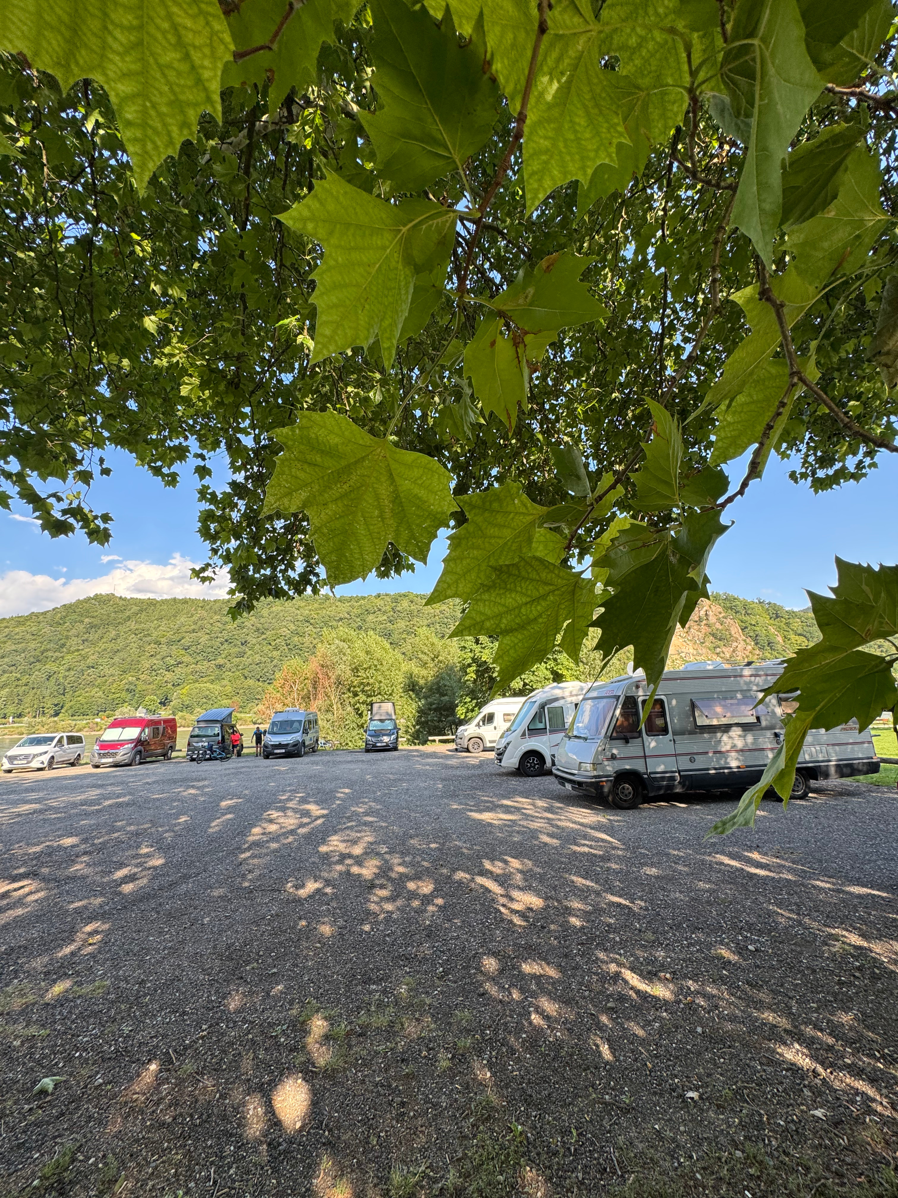 Wohnmobilstellplatz - Stellplatz Donaustrand in Aggsbach - Stallplatz Donaustrand in Aggsbach