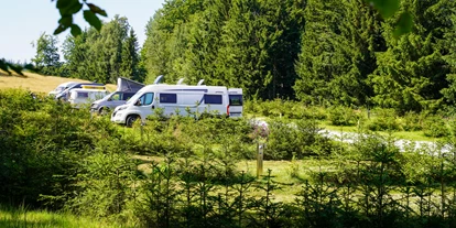 Reisemobilstellplatz - Art des Stellplatz: im Campingplatz - Ostbayern - Blick auf den Wohnmobilhafen - Camping Resort Bayerwald