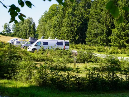 Parkeerplaats voor camper - Entsorgung Toilettenkassette - Fürsteneck - Blick auf den Wohnmobilhafen - Camping Resort Bayerwald