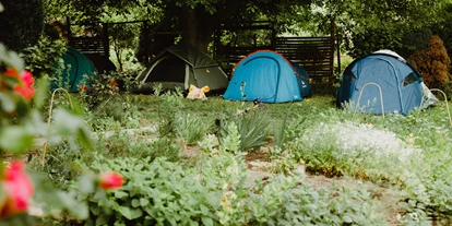 Reisemobilstellplatz - Hunde erlaubt: Hunde erlaubt - Amesdorf - Zelten im Burggarten. - Heimathof Gut Ziegenberg