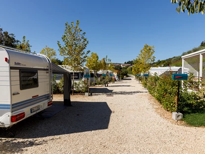Parkeerplaats voor camper - Strada/Piazzole - Agriturismo Agricamping GARDA NATURA