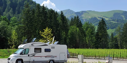 Motorhome parking space - Art des Stellplatz: vor Campingplatz - Austria - Stellplatz vor und im Alpen Caravan Park Achensee