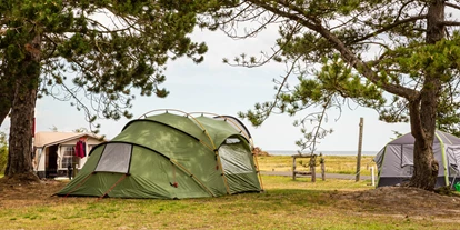 Parkeerplaats voor camper - Hadsund Sogn - DCU-Camping Flyvesandet Strand