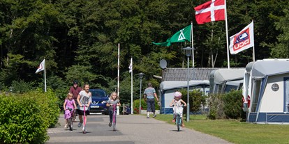 Motorhome parking space - Tjele Kommune - DCU-Camping Viborg Sø