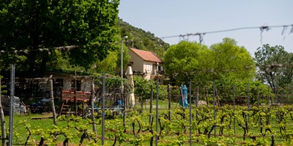 Motorhome parking space - Hunde erlaubt: Hunde erlaubt - Montenegro federal state - Purple Eye Estate - (Camping-ground and Winery Jokaš) 