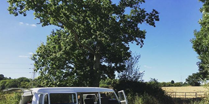 Reisemobilstellplatz - Wohnwagen erlaubt - Großbritannien - Star Field Camping & Glamping