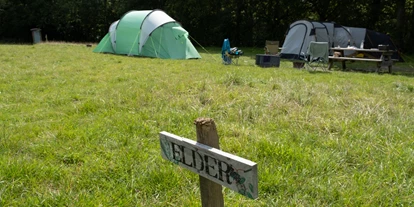 Reisemobilstellplatz - Art des Stellplatz: vor Campingplatz - Cranbrook - Star Field Camping & Glamping