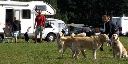 Posto auto camper - Bademöglichkeit für Hunde - Sallgast - Stellplatz Ferien & Freizeitpark Geierswalde