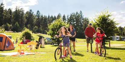 Reisemobilstellplatz - Wohnwagen erlaubt - Trixi-Camping  - Trixi Ferienpark Zittauer Gebirge