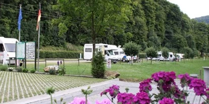 Reisemobilstellplatz - Hunde erlaubt: Hunde erlaubt - Bad Nauheim - taunus mobilcamp