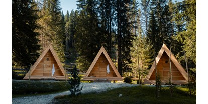 Motorhome parking space - Wohnwagen erlaubt - Italy - A-frame cabins - Camping Sass Dlacia