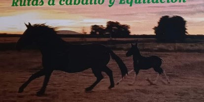 Reisemobilstellplatz - Hunde erlaubt: Hunde erlaubt - Andalusien - Finca Leonora
