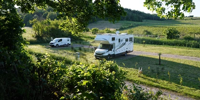 Place de parking pour camping-car - öffentliche Verkehrsmittel - Elmstein - Am Rande des Vogelschutzgebietes auf dem Weingut Hanewald-Schwerdt