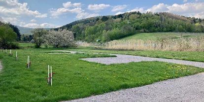 Plaza de aparcamiento para autocaravanas - Hunde erlaubt: Hunde erlaubt - Grünstadt - Am Rande des Vogelschutzgebietes auf dem Weingut Hanewald-Schwerdt