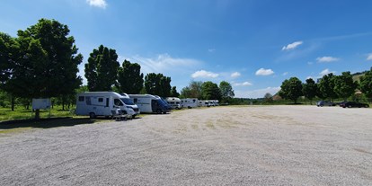 Motorhome parking space - Umgebungsschwerpunkt: Fluss - Rheinau (Ortenaukreis) - Festplatz
