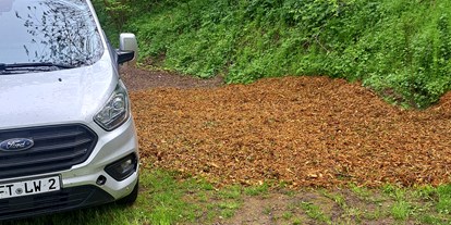 Motorhome parking space - Grauwasserentsorgung - Weißenfels - Wohnmobilstellplatz unter den Kirschbäumen