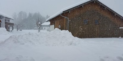 Motorhome parking space - Wintercamping - Sankt Martin bei Lofer - Trauntal Camping