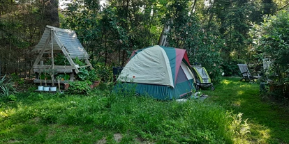 Parkeerplaats voor camper - Leverkusen - Tolle, blumige Stellfläche für mehrere Zelte. - Kinderfreundliche Idylle zwischen Köln und Bonn mit (Tier) Park