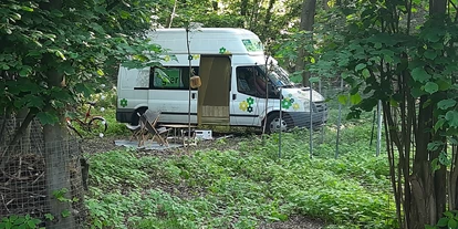 Posto auto camper - Hunde erlaubt: Hunde teilweise - Asbach (Landkreis Neuwied) - Wasseranschluss und Duschmöglichkeit mitten im Grünen. - Kinderfreundliche Idylle zwischen Köln und Bonn mit (Tier) Park