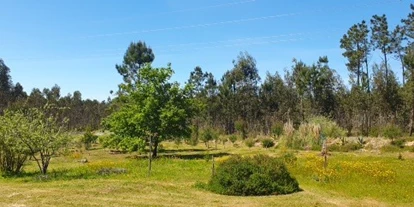 RV park - Umgebungsschwerpunkt: am Land - Portugal - Ruhe und Erholung mitten in der Natur. - LAGOA DO BOI 