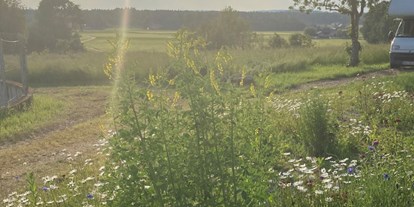Reisemobilstellplatz - Umgebungsschwerpunkt: am Land - Winhöring - Platzl im Grünen auf dem Bauernhof