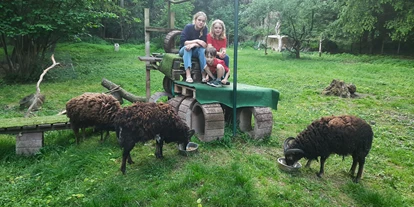 Motorhome parking space - Spielplatz - Lindlar - Unsere Wildschafe freuen sich über jeden Besucher... - Zeltplatz im Park mit vielen freilaufenden Tieren 