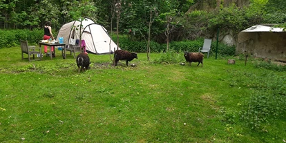 RV park - Frischwasserversorgung - Region Köln-Bonn - Zeltplatz, wie wild im Wald stehend. - Zeltplatz im Park mit vielen freilaufenden Tieren 