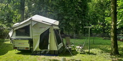 Motorhome parking space - WLAN: teilweise vorhanden - Lindlar - Stellplatz unter hohen Bäumen mit Naturschatten. - Zeltplatz im Park mit vielen freilaufenden Tieren 