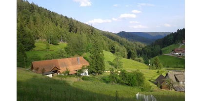 Reisemobilstellplatz - Umgebungsschwerpunkt: am Land - Ortenberg (Ortenaukreis) - Im Glaswald - Glaswaldhof