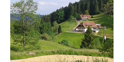 Reisemobilstellplatz - Umgebungsschwerpunkt: am Land - Ortenberg (Ortenaukreis) - Blick über den Stellplatz - Glaswaldhof
