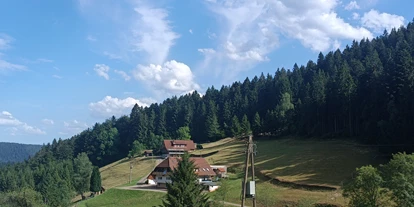 Parkeerplaats voor camper - Hornberg (Ortenaukreis) - Glaswaldhof