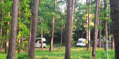 Posto auto camper - Badestrand - Garz (Vorpommern-Rügen) - Ruhig unter Bäumen - Strandhotel Lindequist