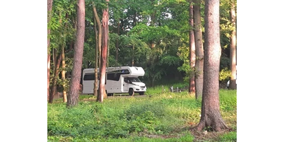 Posto auto camper - Badestrand - Garz (Vorpommern-Rügen) - Idyllisch im Wald gelegen - Strandhotel Lindequist