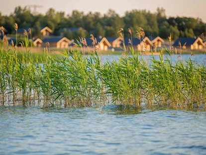 Reisemobilstellplatz - Grauwasserentsorgung - Jüdenberg - Blick über den Gröberner See auf die Ferienhäuser des See- und Waldresorts Gröbern - Wohnmobilcamp See- und Waldresort Gröbern