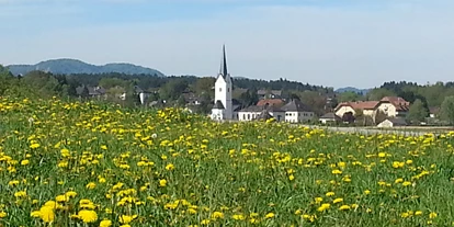Reisemobilstellplatz - Umgebungsschwerpunkt: am Land - Österreich - St.Kanzian im Frühling - Landhaus Noreia's Wiese nahe Klopeiner See