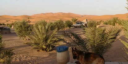 Reisemobilstellplatz - Wohnwagen erlaubt - Marokko - Haven La Chance Camp