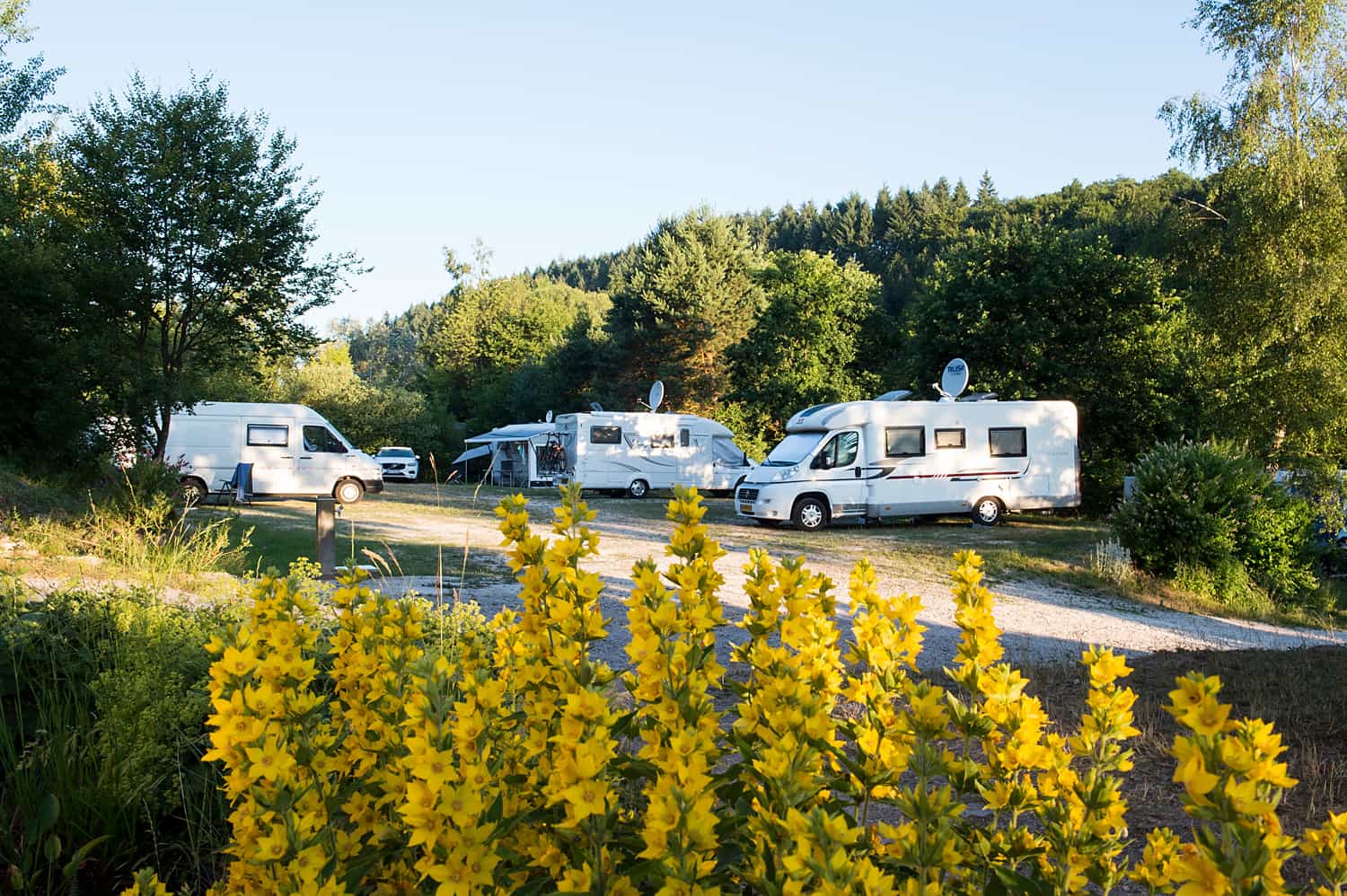 aire de camping-car - Camping Harfenmühle