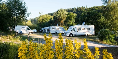 Reisemobilstellplatz - Wohnwagen erlaubt - Lauterecken - Camping Harfenmühle