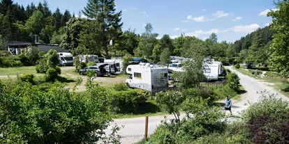 Reisemobilstellplatz - Umgebungsschwerpunkt: Fluss - Zell (Landkreis Cochem-Zell) - Camping Harfenmühle