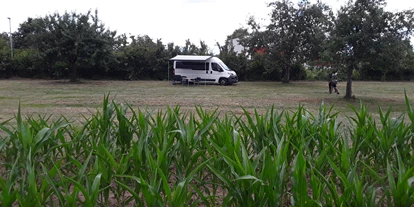 Reisemobilstellplatz - Art des Stellplatz: eigenständiger Stellplatz - Ortenberg (Ortenaukreis) - Schlafen unterm Apfelbaum