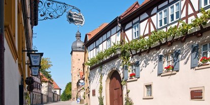 Reisemobilstellplatz - öffentliche Verkehrsmittel - Frensdorf (Bamberg) - Innenstadt mit neu renovierter Brauerei - Regiostellplatz Zeil Am Tuchanger
