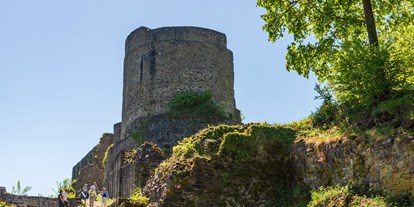 Reisemobilstellplatz - Preis - Vettelschoß - Stellplatz bei der Burg Windeck