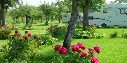 Reisemobilstellplatz - Hunde erlaubt: Hunde erlaubt - Lingenau - Großzügige Wohnmobilstellplätze auf der Obstwiese vor dem Campinggelände mit schönen Blumenrabatten . - Romantik Stellplatz