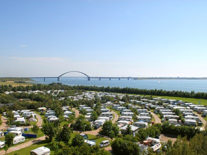 Reisemobilstellplatz - Umgebungsschwerpunkt: Strand - Blick auf die Fehmarnsundbrücke - Stellplatz Camping Strukkamphuk