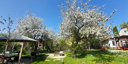 Reisemobilstellplatz - Umgebungsschwerpunkt: am Land - Franken - Hausgarten zur Frühlingszeit - Landhof Läufer 